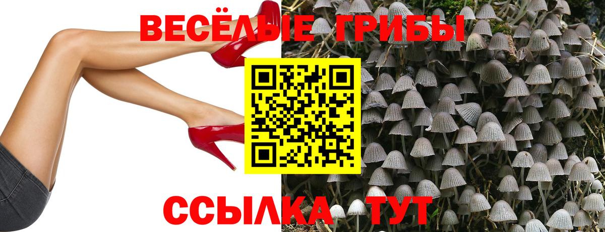 Псилоцибиновые грибы Psilocybine cubensis Соликамск
